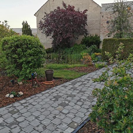 Fewo Rohleder De Mit 130M2 Und Garten Fuer 6Pers Mit 2 Bad Κότμπους Εξωτερικό φωτογραφία