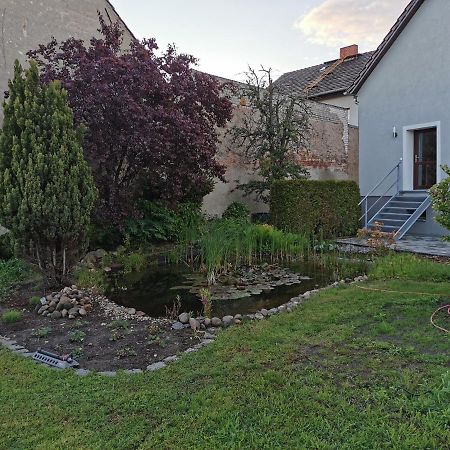 Fewo Rohleder De Mit 130M2 Und Garten Fuer 6Pers Mit 2 Bad Κότμπους Εξωτερικό φωτογραφία