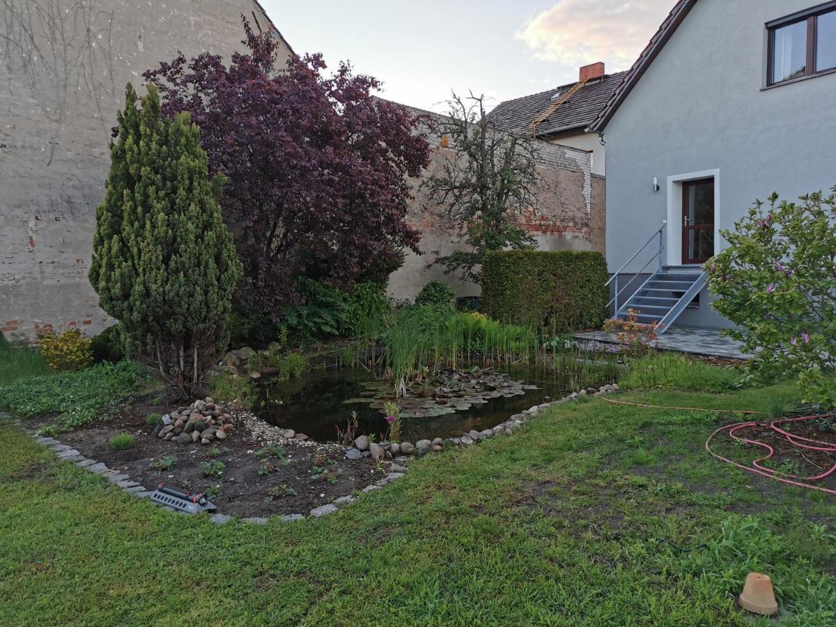 Fewo Rohleder De Mit 130M2 Und Garten Fuer 6Pers Mit 2 Bad Κότμπους Εξωτερικό φωτογραφία