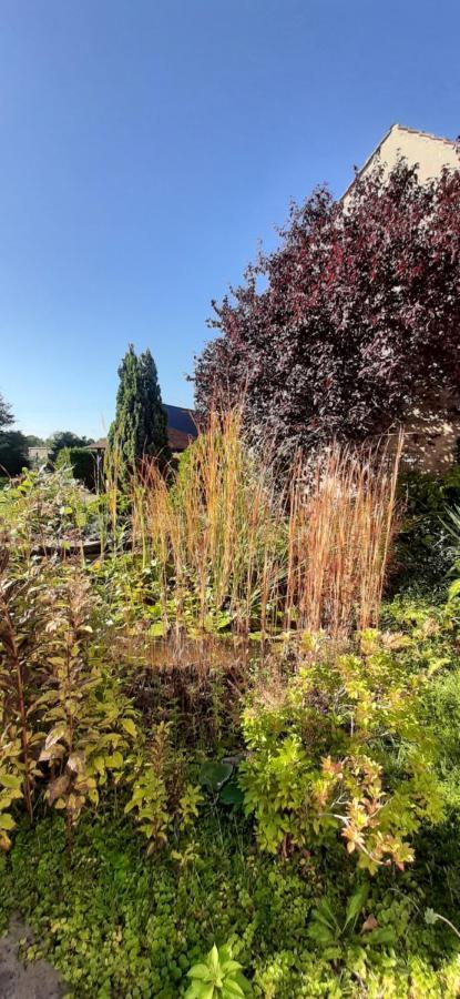 Fewo Rohleder De Mit 130M2 Und Garten Fuer 6Pers Mit 2 Bad Κότμπους Εξωτερικό φωτογραφία